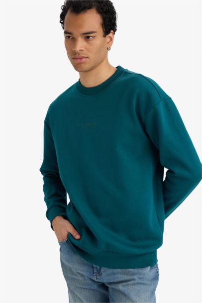 Boxy Fit Crew Neck Soft Inside Printed Sweatshirt