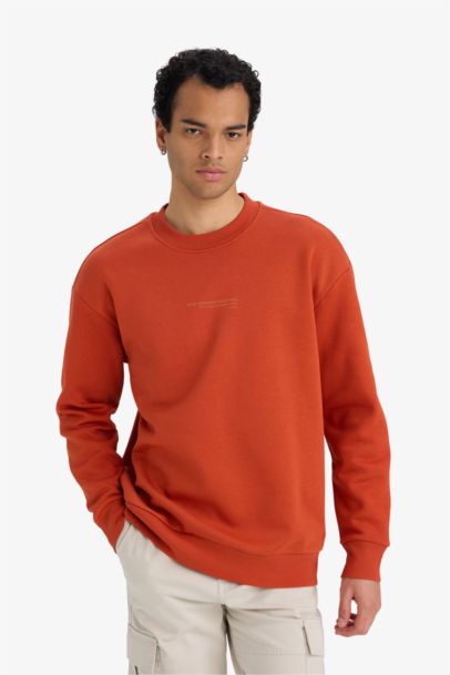 Boxy Fit Printed Long Sleeve Sweatshirt