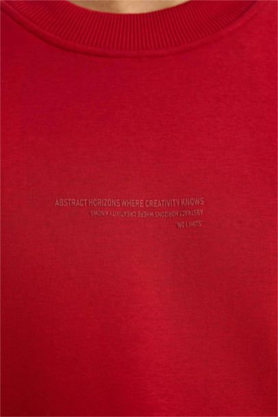 Boxy Fit Crew Neck Soft Fleece Lined Sweatshirt