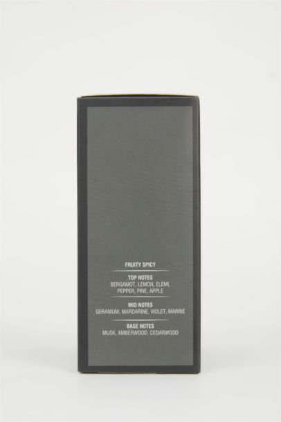 Erkek Iron Grey Aromatik 100 ml Parfüm