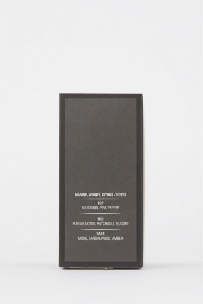 Erkek Silver Aromatik 100 ml Parfüm