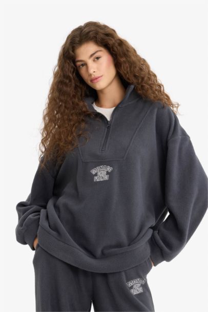 Oversize Fit Stand Collar Zippered Printed Fleece Sweatshirt