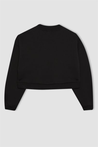 Crew Neck Thick Basic Crop Sweatshirt