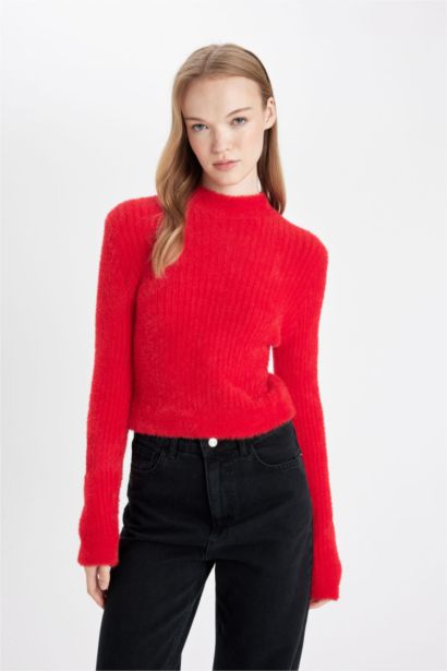 Regular Fit Half Turtleneck Knitted Pullover