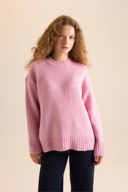 Regular Fit Knitwear Pullover