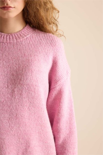 Regular Fit Knitwear Pullover