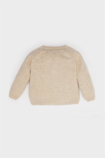 Baby Boy Regular Fit Crew Neck Cardigan