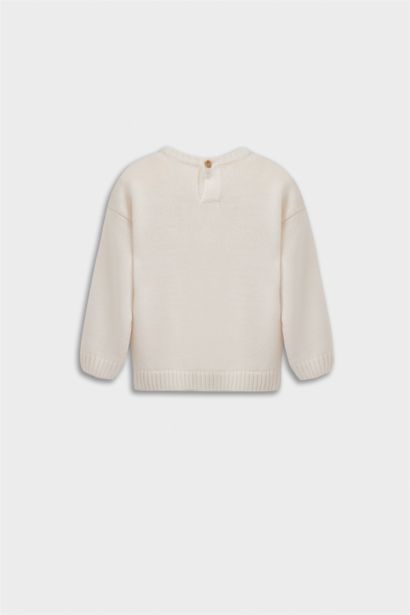 Baby Boy Crew Neck Printed Pullover