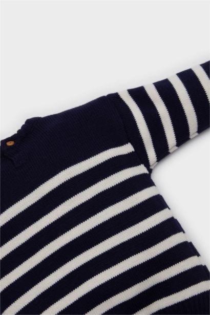 Baby Boy Regular Fit Striped Crew Neck Pullover