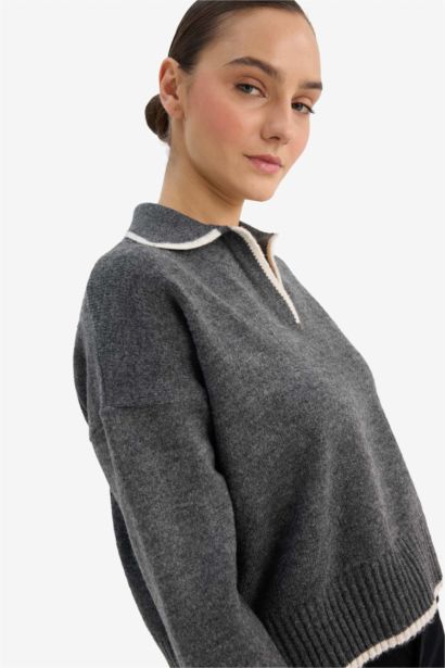Regular Fit Knitwear Pullover