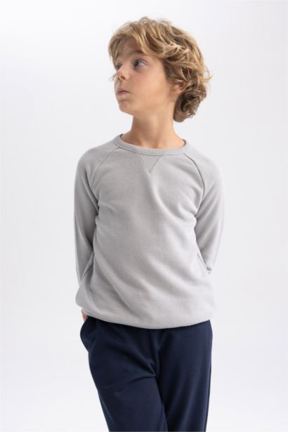 Regular Fit Crew Neck Sweatshirt