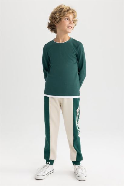 Regular Fit Trousers