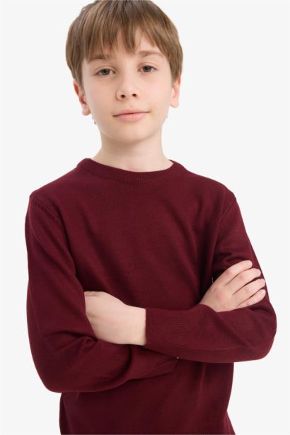 Boy Regular Fit Crew Neck Knit Pullover