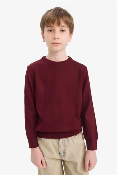 Boy Regular Fit Crew Neck Knit Pullover
