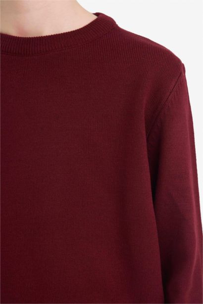 Boy Regular Fit Crew Neck Knit Pullover