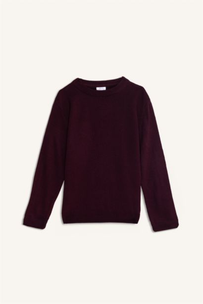 Boy Regular Fit Crew Neck Knit Pullover