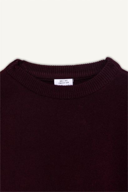 Boy Regular Fit Crew Neck Knit Pullover