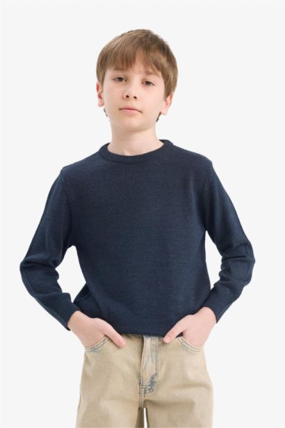 Boy Regular Fit Crew Neck Knit Pullover