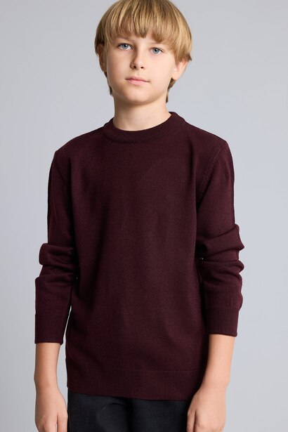 Boy Regular Fit Crew Neck Pullover