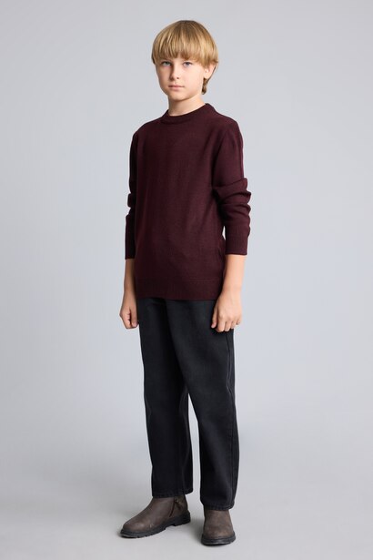 Boy Regular Fit Crew Neck Pullover