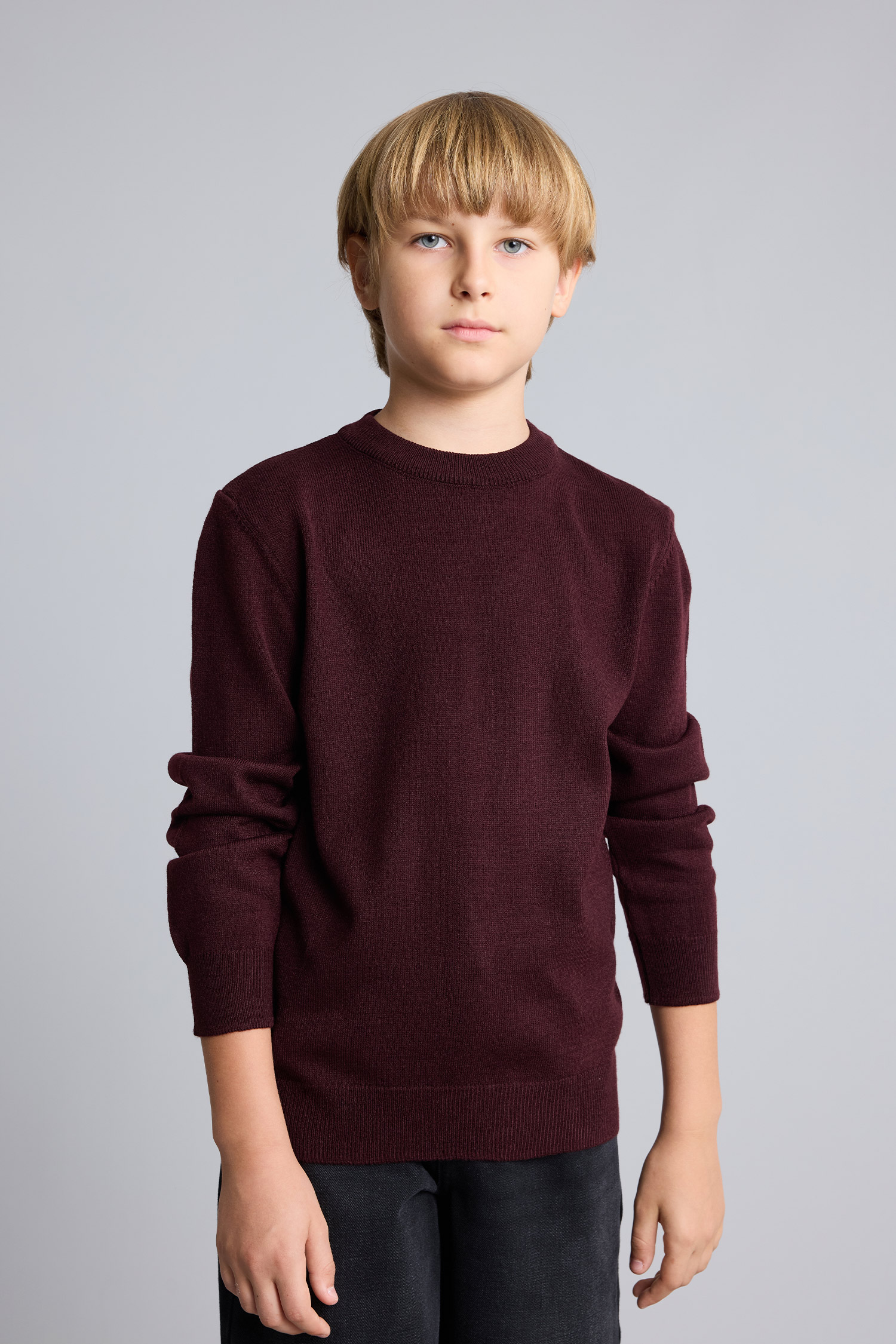 Boy Regular Fit Crew Neck Pullover