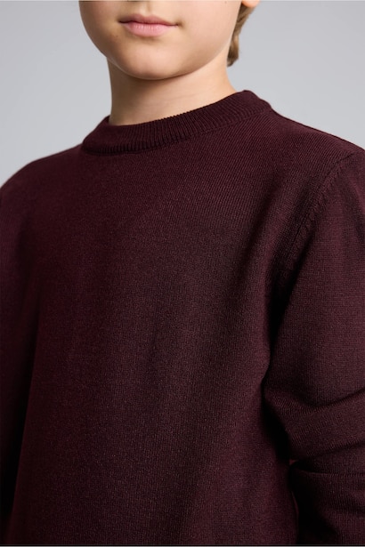Boy Regular Fit Crew Neck Pullover