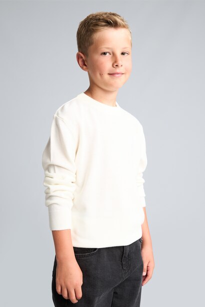 Boy Regular Fit Crew Neck Pullover