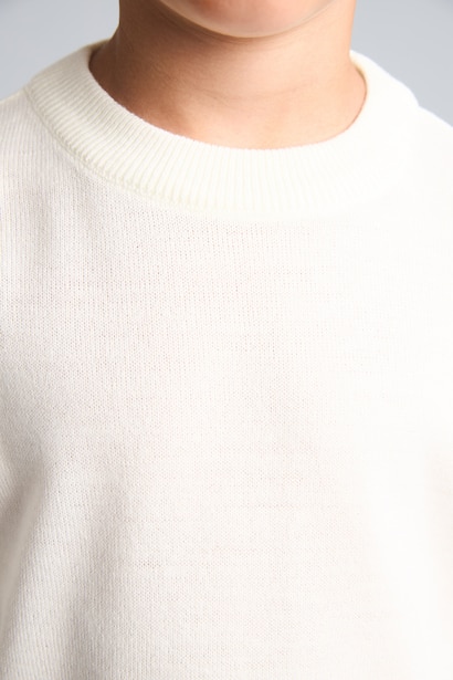 Boy Regular Fit Crew Neck Pullover