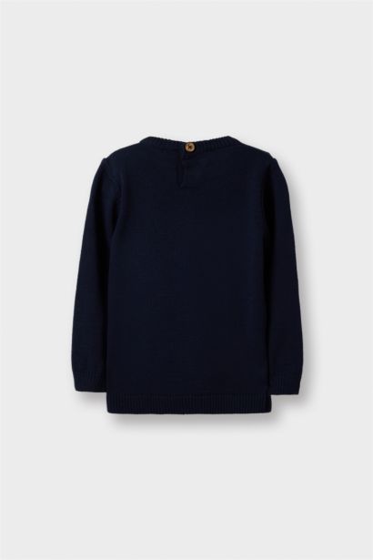 Baby Boy Regular Fit Crew Neck Knit Pullover