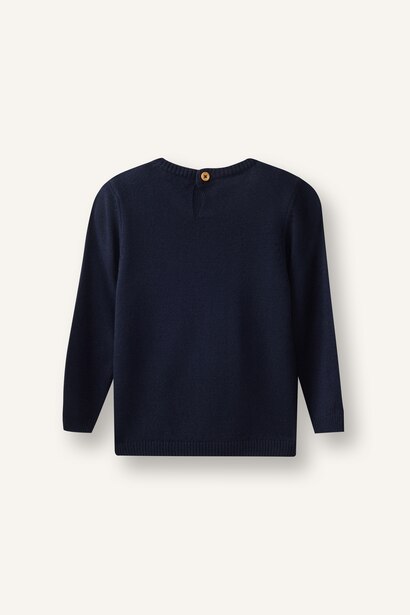 Baby Boy Regular Fit Crew Neck Pullover