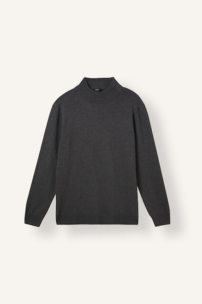 Pull en tricot basic à col roulé Coupe régulière