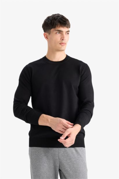 Regular Fit Crew Neck Knitwear Pullover