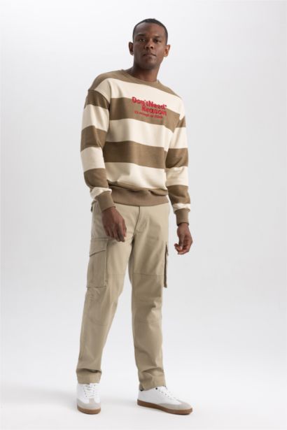 Boxy Fit Crew Neck Striped Printed Sweatshirt