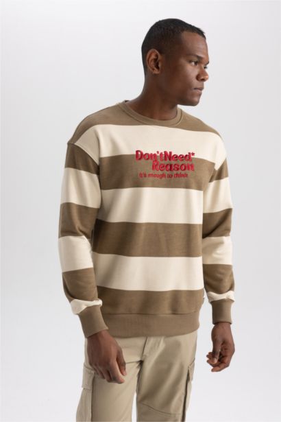 Boxy Fit Crew Neck Striped Printed Sweatshirt