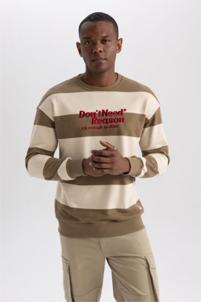 Boxy Fit Crew Neck Striped Printed Sweatshirt