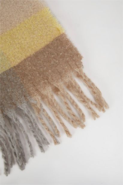 Kadın Yumuşak Dokulu Ekose Desenli Atkı