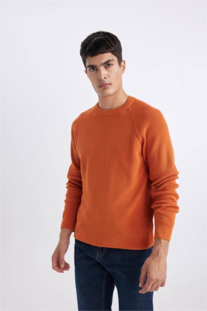 Standard Fit Crew Neck Basic Knitted Pullover