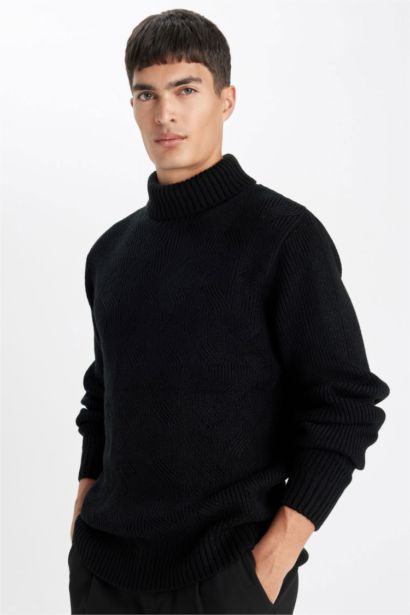 Standard Fit Half Turtleneck Basic Knitted Pullover