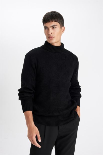 Standard Fit Half Turtleneck Basic Knitted Pullover