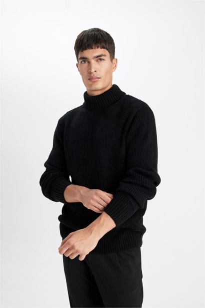 Standard Fit Half Turtleneck Basic Knitted Pullover