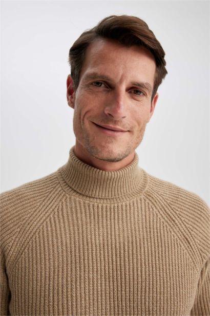 Standard Fit Turtleneck Knitted Pullover