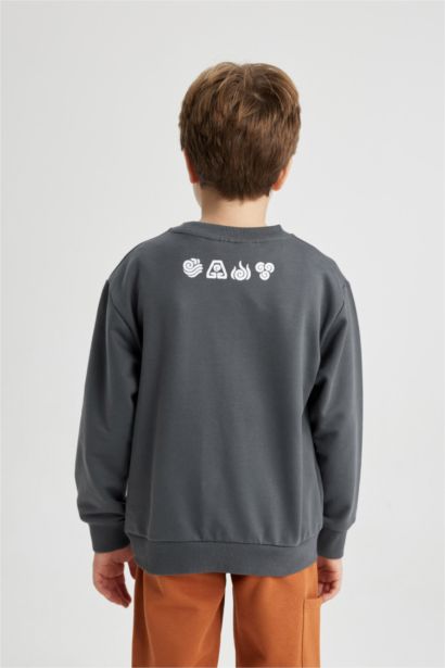 Regular Fit Avatar The Last Airbender Licensed Hooded Sweatshirt