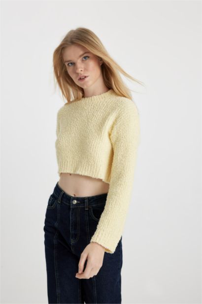 بلوفر تريكو قصة عادية برقبة مستديرة