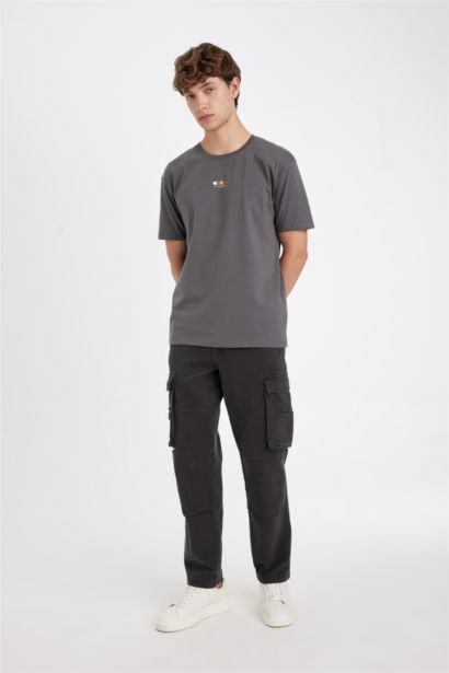 Regular Fit Crew Neck Printed T-Shirt