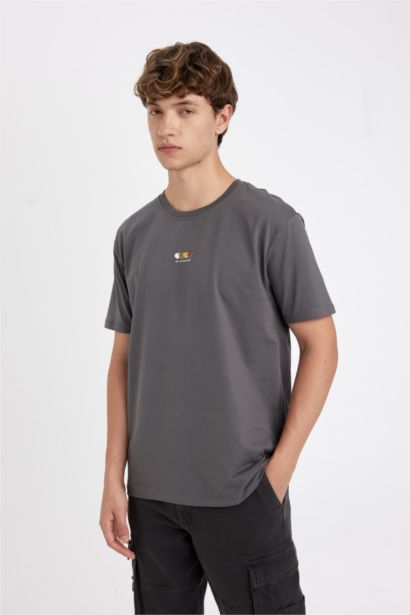 Regular Fit Crew Neck Printed T-Shirt