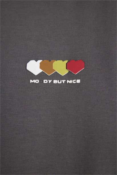 Regular Fit Crew Neck Printed T-Shirt