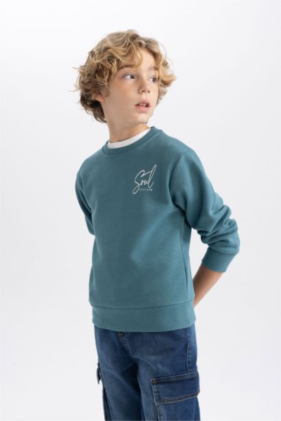 Boy Printed Crew Neck Thick Sweatshirt