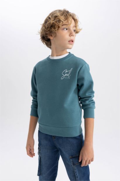 Boy Printed Crew Neck Thick Sweatshirt