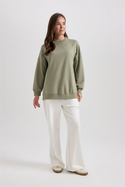 Regular Fit Soft Furry Basic Sweatshirt Tunic