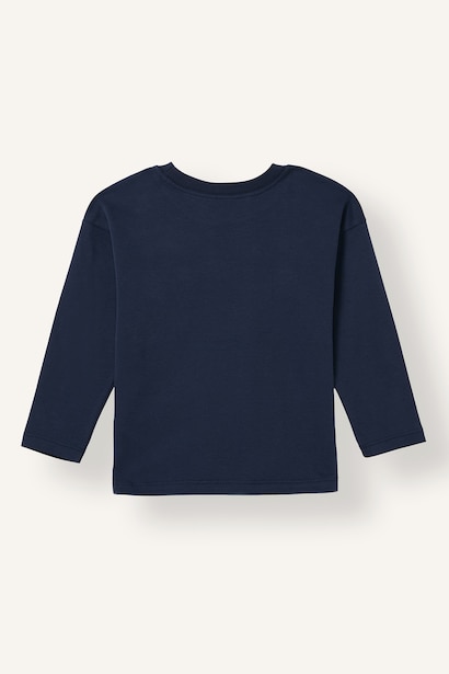 Baby Boy Regular Fit Crew Neck Long Sleeve T-Shirt